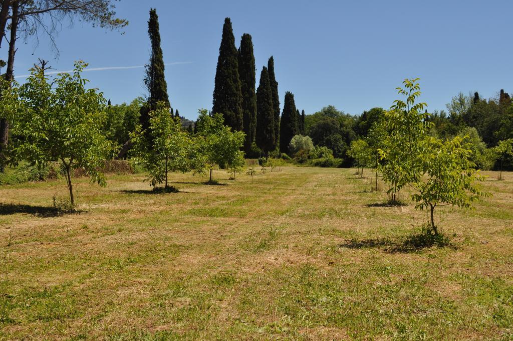 Buonincontro Apartment Florencie Pokoj fotografie